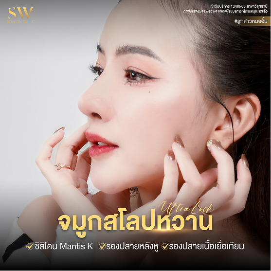 NOSE-review-1